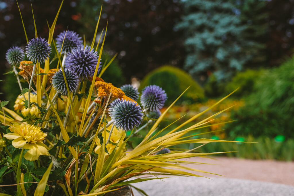 2021_biologia_budynek_fot.-Alina-Metelytsia_30