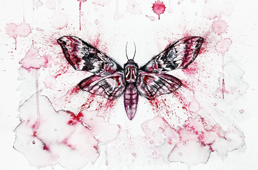 ćma do entomologii sądowej