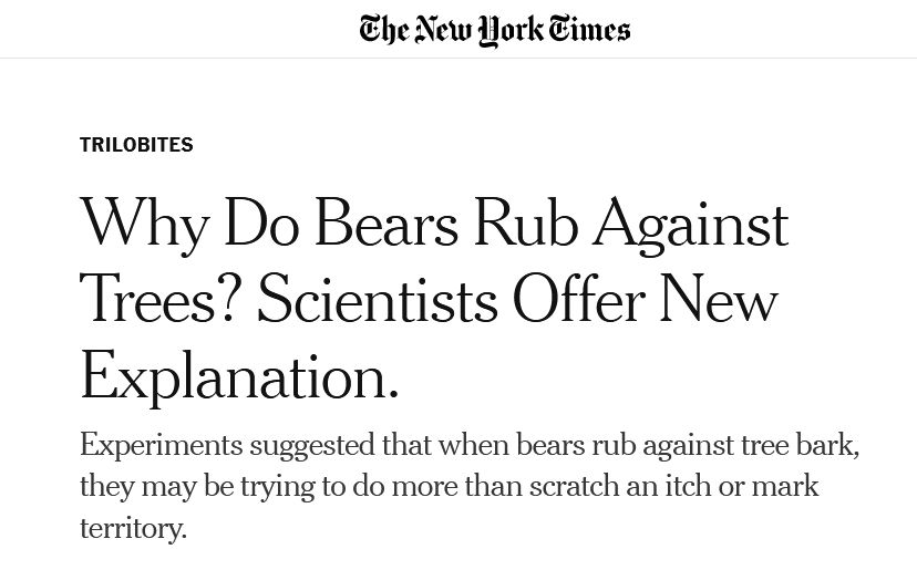 The New York Times Ursus