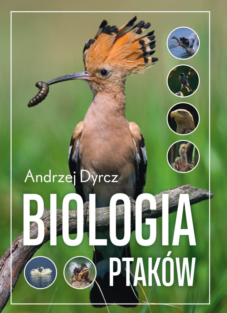 Książka pt. "Biologia ptaków". prof. Andrzeja Dyrcza