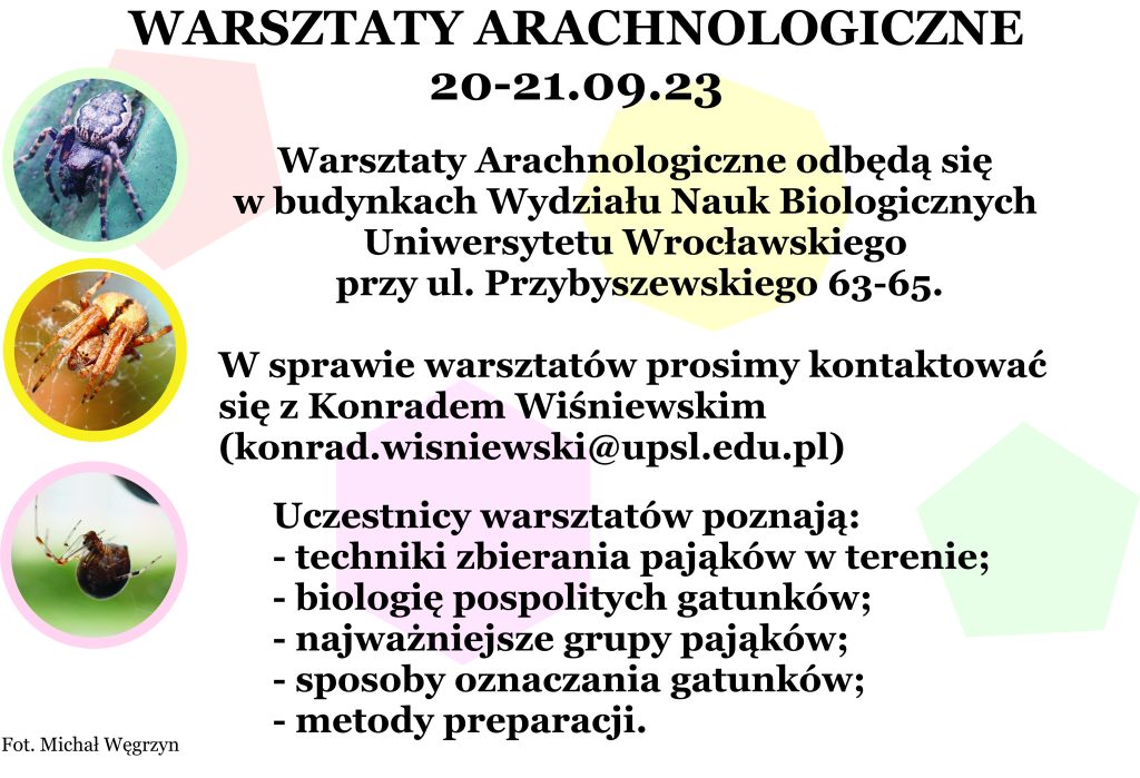 warsztaty arachnologiczne