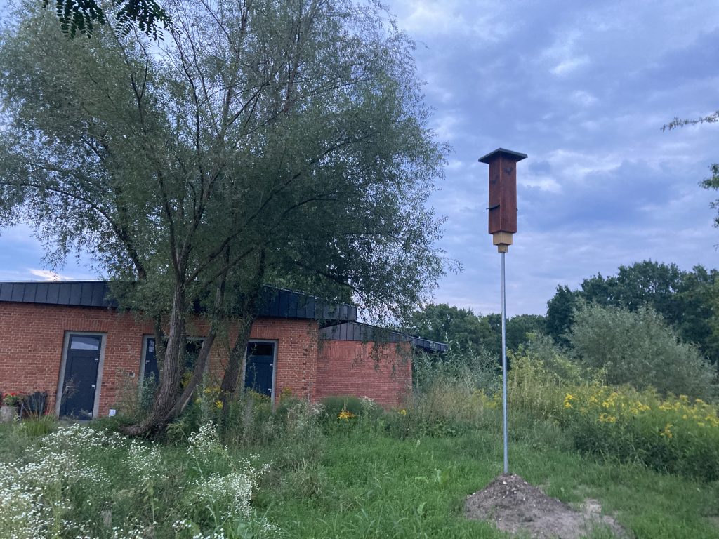 Budka dla nietoperzy na maszcie 
