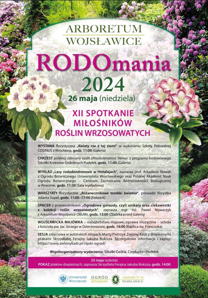 RODOmania
