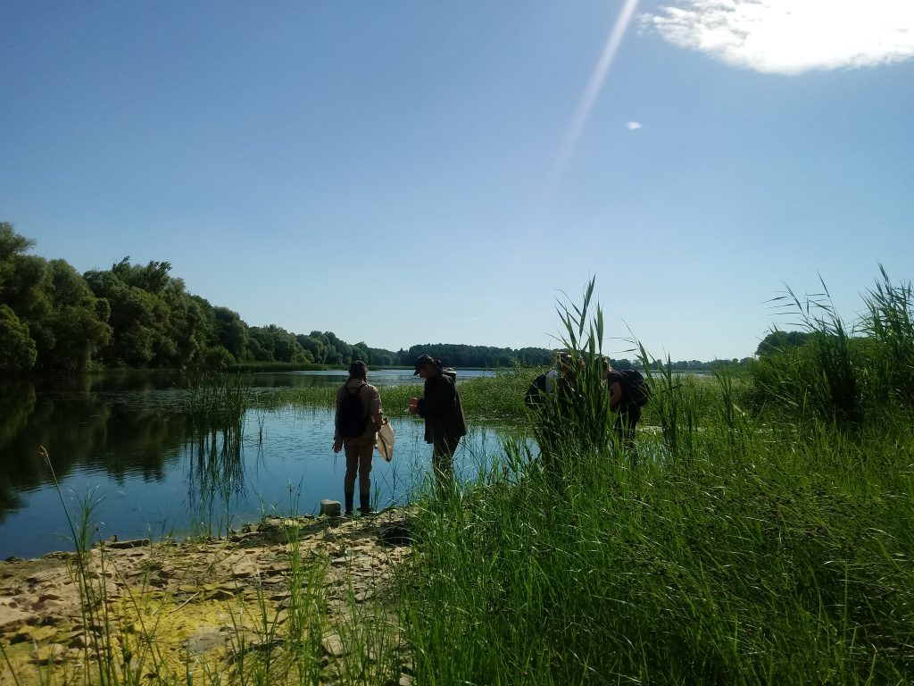 studenci biologii nad Stawem Jaskółczym fot. A. Kilian