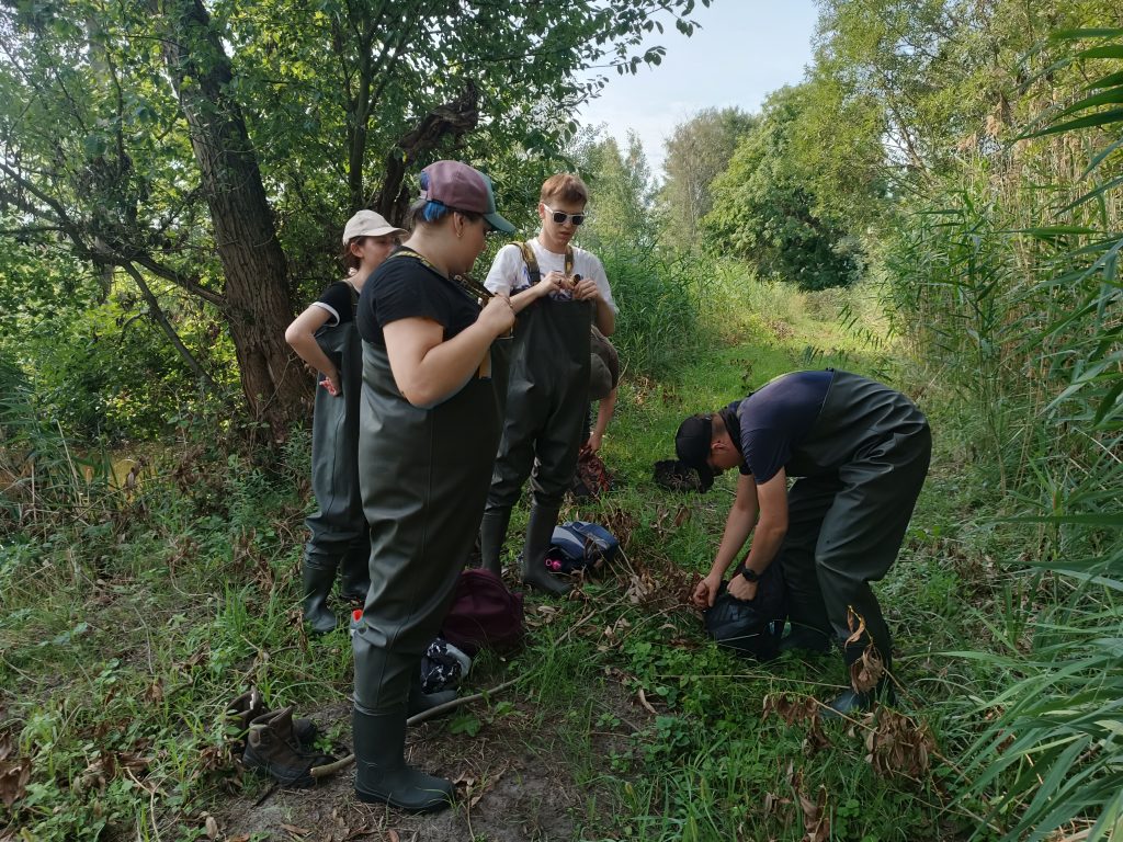 inwentaryzacja ssaków- Stawy Jaskółcze