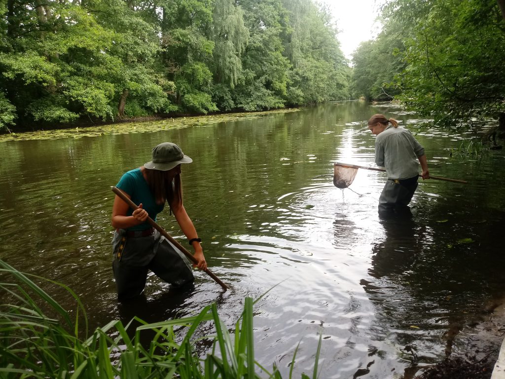 studentki biologii w rzece Prądni fot. A. Kilian