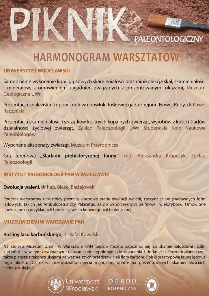 paleo warsztaty