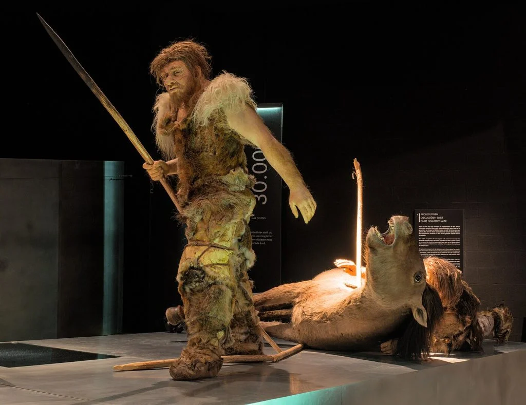 Neanderthal hunters depicted in the Gallo-Romeins Museum Tongeren (Belgium) Autorstwa Trougnouf (Benoit Brummer) - Praca własna, CC BY 4.0,